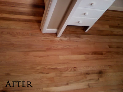 Severely pet-stained red oak floor in Coralville, boards had to be replaced.
