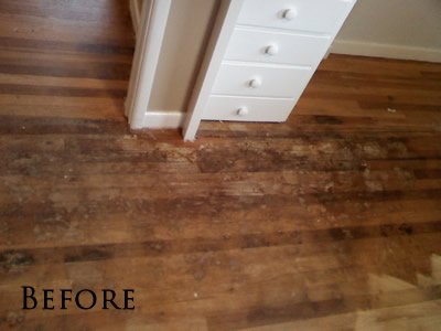 Severely pet-stained red oak floor in Coralville, boards had to be replaced.