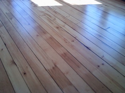 Refinished white pine floor
