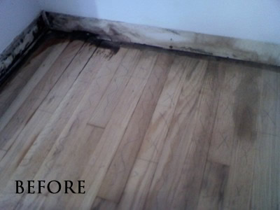 Urine stained red oak floor